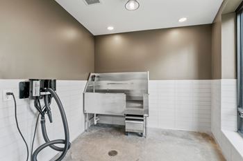 Pet wash station
